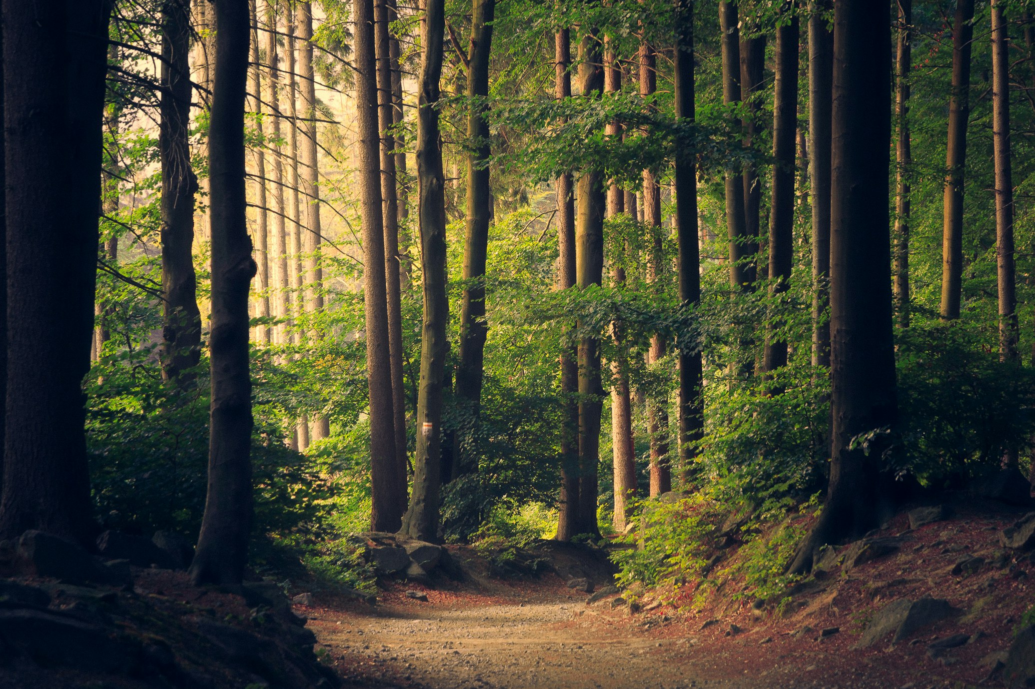 Nature Trails
